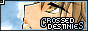 Crossed Destinies, complete spanish Tsubasa fansite